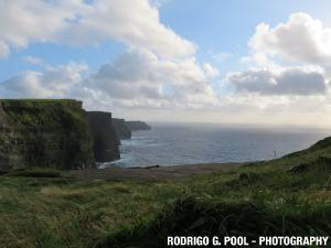 IMG 0785