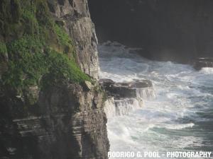 IMG 0812