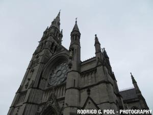 IMG 1321